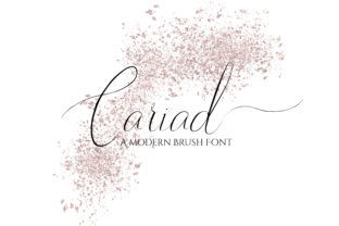 Cariad: A Modern Script Font for Makers