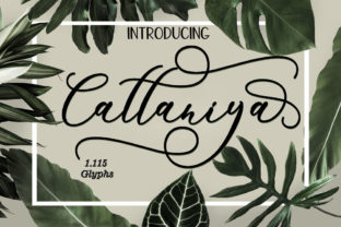 Cattaniya: The Script Font That Elevates Campaigns