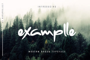 Examplle Font: A Playful Script for Web Design