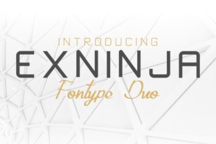 Exninja: The Bold Typeface That Elevates Brand Identity