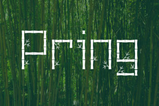 Pring: A Bamboo-Inspired Decorative Script Font