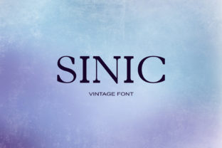 Sinic: A Script Typeface for Digital Branding
