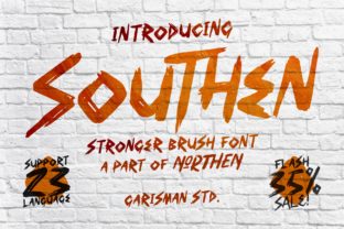 Southen Font: A Bold Display Typeface for Campaigns